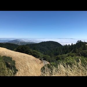 Meet your Posher, Kira